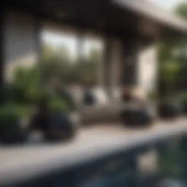 Stylish Outdoor Living Space with Big Black Pots Stylish big black outdoor pots enhancing an outdoor living space