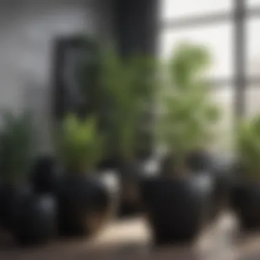 Diverse Designs of Big Black Outdoor Pots Variety of big black outdoor pots showcasing different designs and materials