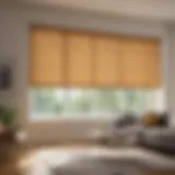 Elegant roll-up window blinds enhancing room ambiance