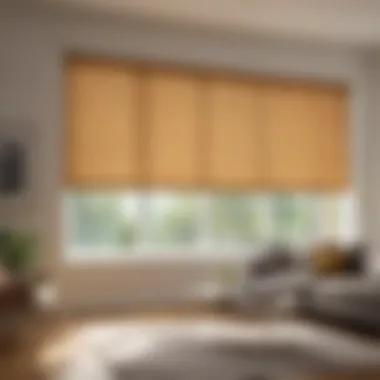 Elegant Roll-Up Window Blinds Elegant roll-up window blinds enhancing room ambiance