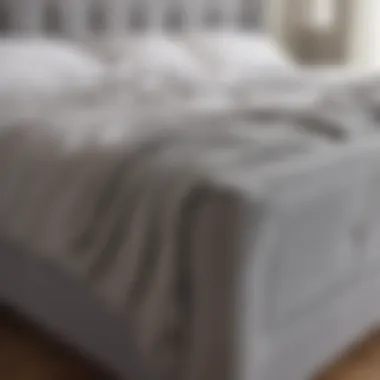 Material Matters: Textures of Gray Bed Frames Close-up of gray bed frame materials showcasing texture and quality.